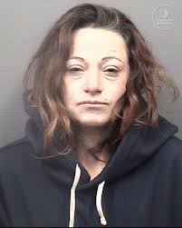 Name: Dominic Luke Jankowski Age/Gender/Race: 25/Male/White Arrest Date:  02/21/2025 Charges: 1. Breaking and Entering