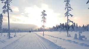 Dieser pinnwand folgen 108 nutzer auf pinterest. Erlebnisreisen In Finnland Im Winter 2021 22 Online Buchen Bei Asi Reisen