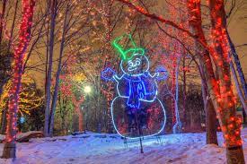 Twinkling Photos From Zoolights At Lincoln Park Zoo Zoo Lights Lincoln Park Zoo Zoo