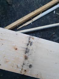 Image result for site:byggahus.se påväxt