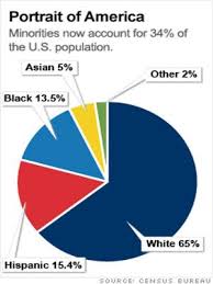 America Race Demographics Pie Chart Www Bedowntowndaytona Com