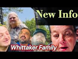 Vegas Profile Stories