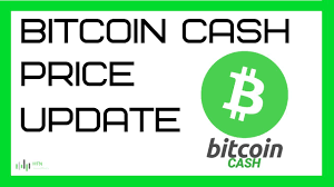 But rather than panic and holding through a downtrend, you can go short and turn falling prices into profits. Bitcoin Cash Bch Price Move Update Youtube