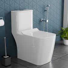 Floor Mounted Western Toilet