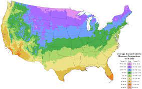 The article states the cold tolerance of avocado depends on the variety of tree. Usda Hardiness Zone Map Fastgrowingtrees Com