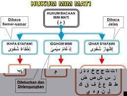Dinamakan syafawi karena makhraj mim dari syafah/bibir, ketika bertemu dengan huruf ba. Hukum Mim Mati Bertemu Dengan Huruf Hijaiyyah Pusat Alquran Indonesia