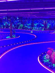 Family Fun Coconut Bowl Reopens Now With Black Light Go Karts Krnv