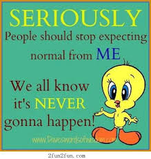 I'm going to say hello to two friends who i've shut out of my life for the past 10 weeks while i trained the hardest i've ever done for a fight. It Is Never Gonna Happen Funnypictures Humor Funny Quotes Tweety Bird Quotes Bird Quotes