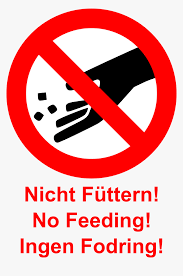 10 'do not feed the animals' zoo signs. Png Nicht Futtern No Feeding Animals Sign Transparent Png Kindpng