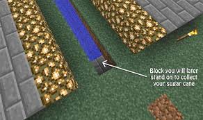 It's next to water and everything, but it's been multiple days, at least the hard distance for random tick updates in java is 128 blocks, so it's usually safe to wander a bit further as long as the chunks remain loaded. Sugar Rush How To Make An Automatic Sugarcane Farm In Minecraft Minecraft Wonderhowto
