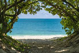 Image result for 沖縄の海