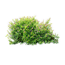 Komm in unserem hanfshop vorbei! Gartenbedarf Kaufen Ihr Gartenshop Von Mein Schoner Garten