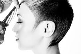 about — ALEX IOANNOU