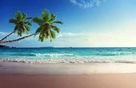 Bali Beach Wallpaper Mural Hovia Beach Wallpaper Beach Backdrop Beach Wall Murals