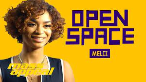 Melii Icey Lyrics Genius Lyrics