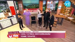 Psikoloji Agi Canli Yayinda Kedi Korkusunu Yenme Terapisi Facebook