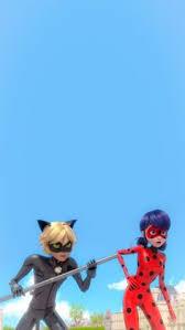 ladynoir kara kedi kedi