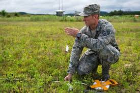 Maybe you would like to learn more about one of these? 6 Effective Ways To Deal With A Blue Falcon In Your Unit Military Com