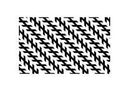 Image result for illusion pictures