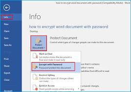 Choose encrypt with password option. How To Encrypt Word Document With Password Office 2003 2016