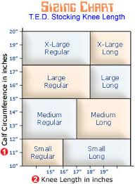 interpretive ted hose sizes 2019
