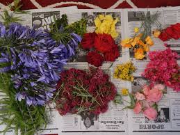 Instead check them carefully for insects. Pookalam Flower Rangoli 6 Steps With Pictures Instructables