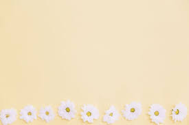 Layar backdrop latar belakang studio foto warna putih polos ukuran di tokopedia ∙ promo pengguna baru ∙ cicilan 0% ∙ kurir instan. Margaridas Foto Gratuita Latar Belakang Putih Polos Bunga Lukisan Bunga