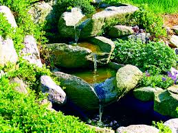 Résultat de recherche d'images pour "jardins magiques image pinterest"