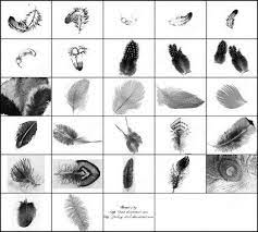 27 Feather Brush Photoshop Brushes For Free Download Photoshop Brushes Photoshop Photoshop Photography