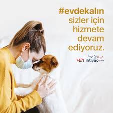 evdekalin sizler icin hizmete devam ediyoruz evcil hayvanlar kopek kedi