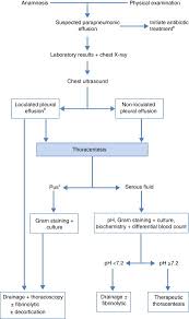 May 01, 2000 · chest radiography may show pleural effusion, elevation of the diaphragm, lung consolidation, or laminated atelectasis at the lung base. Recommendations Of Diagnosis And Treatment Of Pleural Effusion Update Sciencedirect