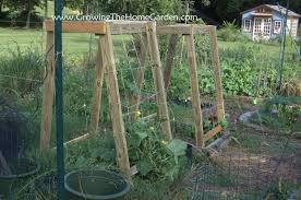 These regularly structured graphs are viewed as trellises on a circular time axis and are known to. Homemade Cucumber Or Melon Trellises Growing The Home Garden