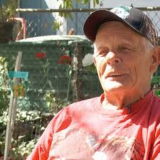 85-year-old crossing guard urging drivers to pay extra attention after  struck in crosswalk