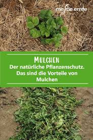 Mulchen In 2020 Mulchen Pflanzen Pflanzenschutz