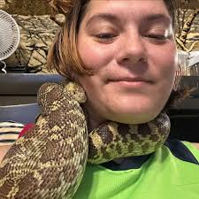 Just now :) A big beautiful bull snake!