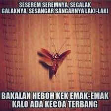 Kumpulan Meme Lucu Buat Kamu Yang Fobia Kecoak