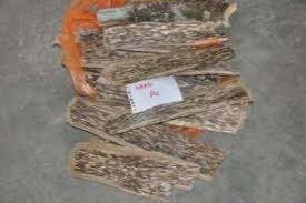 Information and translations of gaharu in the most comprehensive dictionary definitions resource on the web. Malaysian Timber Industry Board Mtib Official Portal Cites