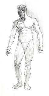Get paid for your art. Character Anatomy Male