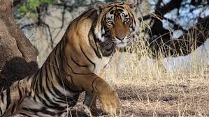 images?q=tbn:ANd9GcRc8cJB9GU3TxP56n2bPOl