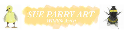 Profile for Sue Parry Art