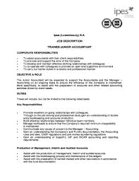 Even though there are quite a lot of niche jobs in the profession, such as the cpa job description , or financial analyst job description , or even chief accountant job description , there are a couple of duties and responsibilities that are relative to. 25 Printable Job Description Accountant Forms And Templates Fillable Samples In Pdf Word To Download Pdffiller