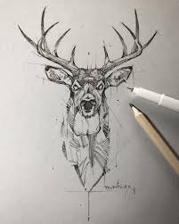 Five Point Illustration Sketching Animal Sketches Animal Drawings Deer Sketch