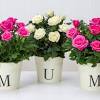 Send mother's day flower to uk for your loving mom from ferns n petals. 1