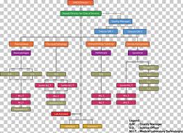 organizational chart organizational structure non profit