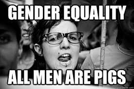 Gender Equality All Men Are Pigs Hypocrite Feminist Quickmeme