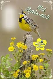 Víte, že registrovaní uživatelé kinoboxu mohou filmová díla hodnotit, psát k nim recenze, dokonce i upravovat profily filmy a získat tak body do. Montage Photo Bel Apres Midi Pixiz