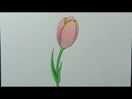 Over 70% new & buy it now; Cara Menggambar Sketsa Bunga Tulip Dalam Pot Sepatu Menggunakan Pencil Drawing Lagu Mp3 Mp3 Dragon
