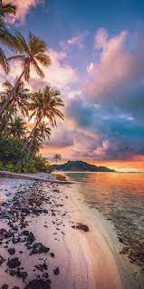 Download 4,150 bora bora images and stock photos. Pic Of The Day Infatuation Beach Bora Bora Tropics Paradise Travel Beaches Nature Dream Vacations Beautiful Landscapes