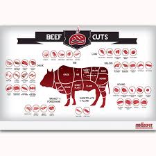 Cuts Chart Pork Cut Chart Pdf Beef Retail Cuts Chart Beef