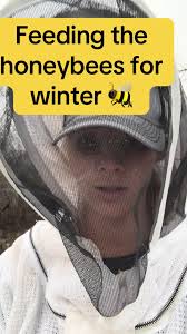 Putting Sugar Water to Attract Bees